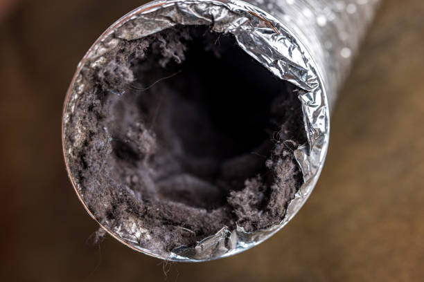 Best Ductwork Cleaning Services  in Lexington, MN