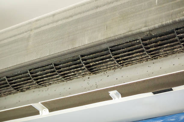 Best Affordable Duct Cleaning Services  in Lexington, MN