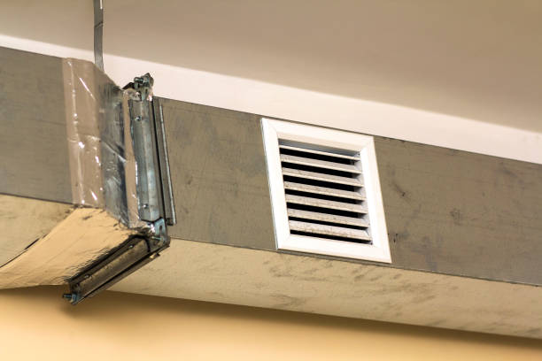 Best Affordable Duct Cleaning Services  in Lexington, MN