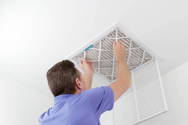 Best Air Duct Sanitizing Services  in Lexington, MN